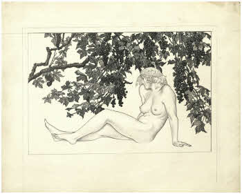 Visualizza l'immagine "FD D 2711"